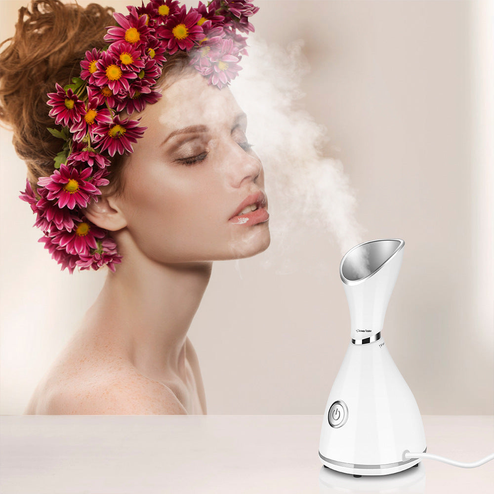 Ionic Facial Steamer